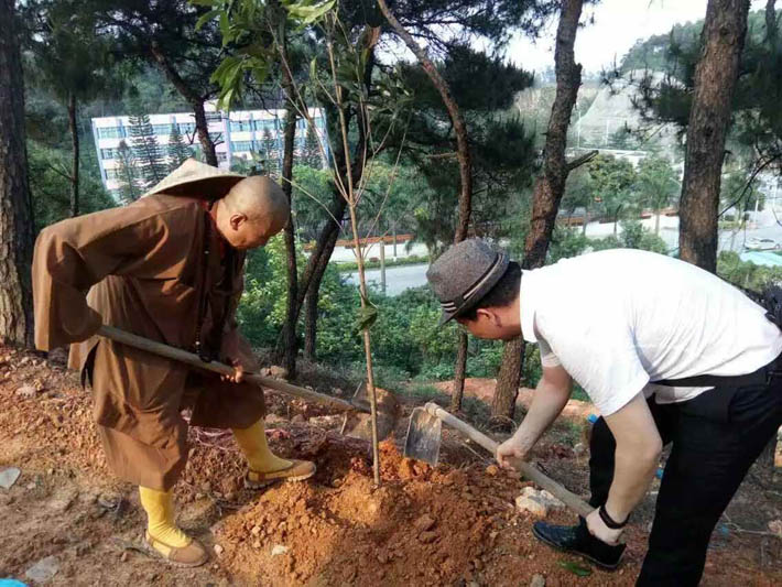 活动隔断公司人员种下有缘之树