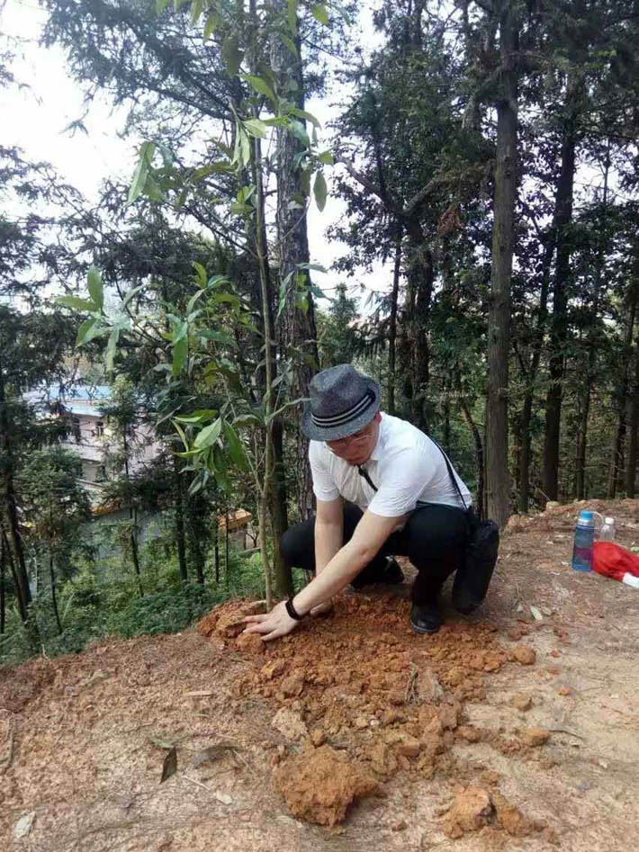 活动隔断公司人员种下有缘之树
