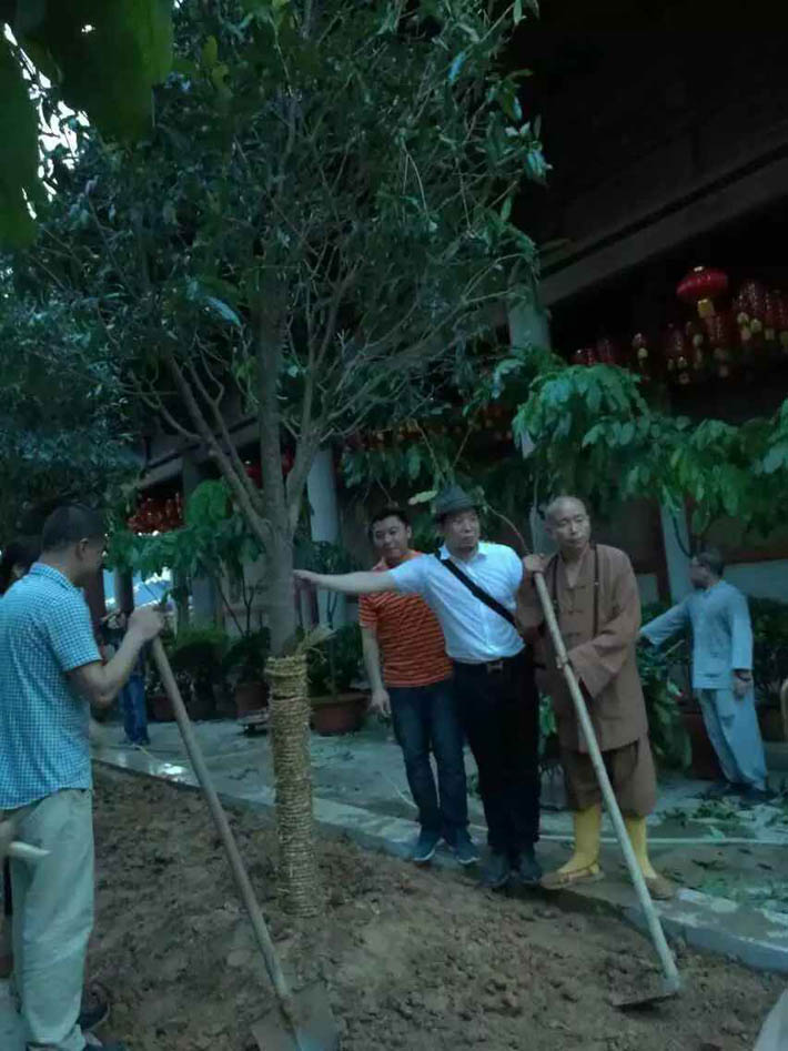 活动隔断公司人员种下有缘之树